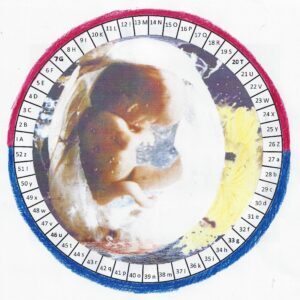 Embryo im Jahreslauf, Seelenkalender von Rudolf Steiner